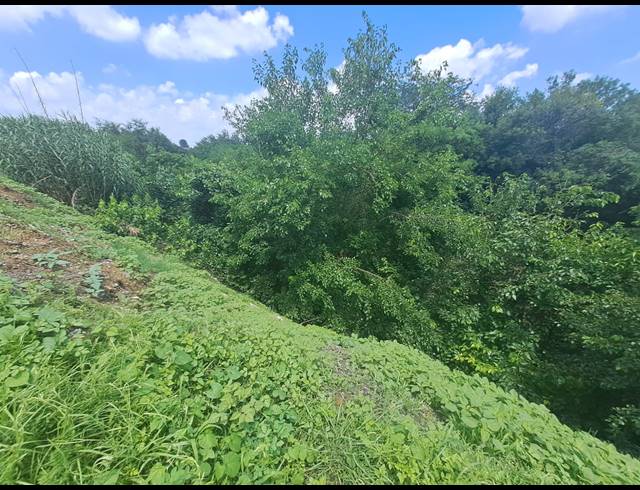 90,483M² FARM FOR SALE IN RISIVILLE